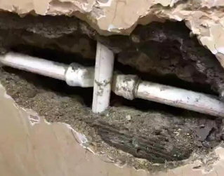 永平测漏水哪家好